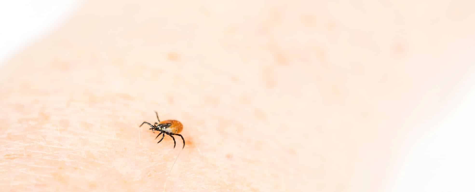 Lyme Disease rehabilitation on Germany, Kliniken Schmieder
